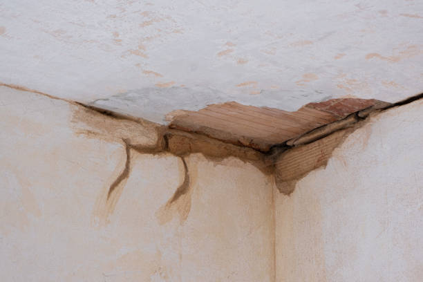 Best Mold removal after water damage  in Bakersfield Country Clu, CA