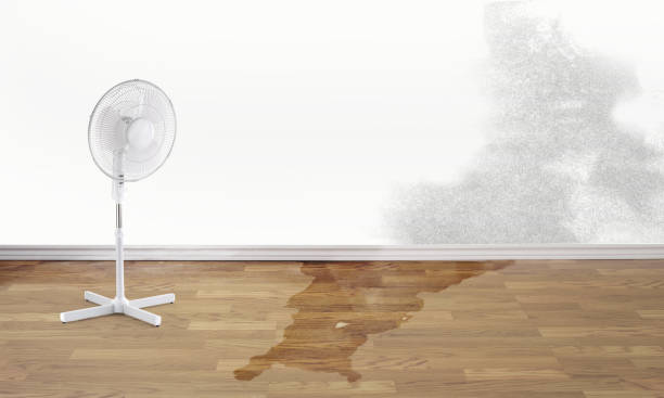 Best Flood damage cleanup  in Bakersfield Country Clu, CA