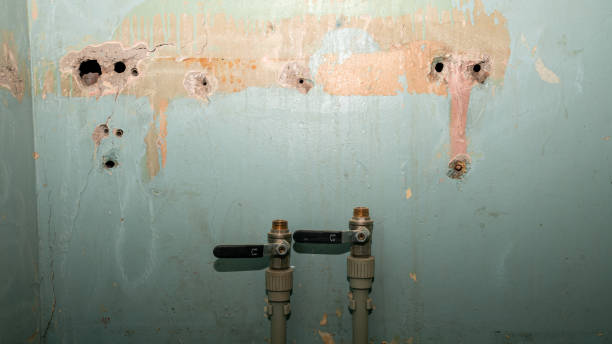 Best Flooded house restoration  in Bakersfield Country Clu, CA