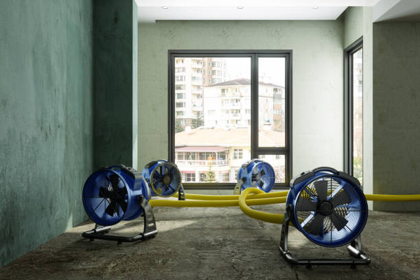 Best Sewage cleanup and water damage restoration  in Bakersfield Country Clu, CA